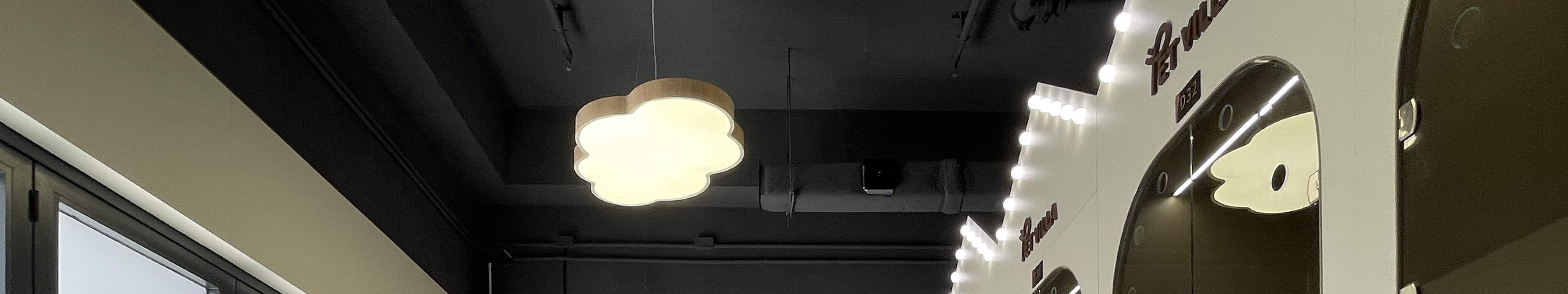 Dog Hotel Rooms Area